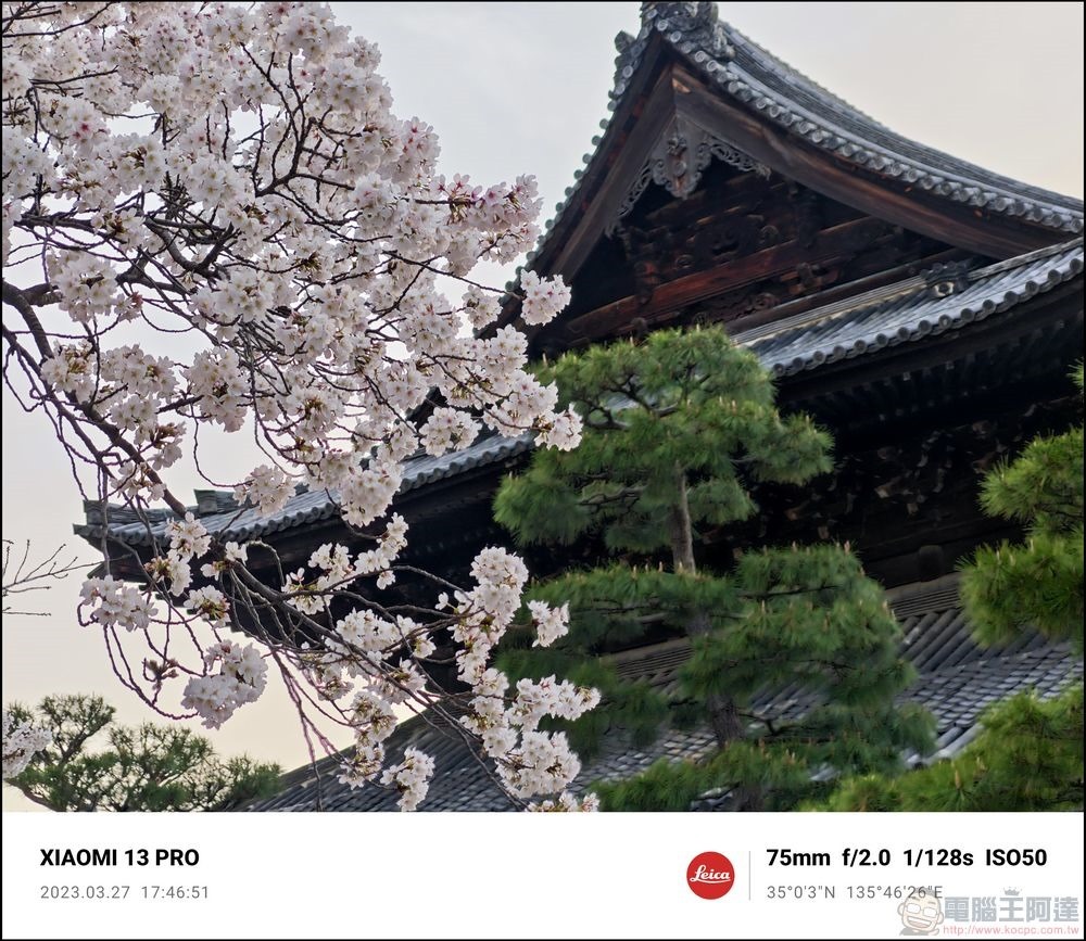 Xiaomi 13 Pro 櫻花拍攝樣張 - 70 Xiaomi 13 Pro 櫻花拍攝樣張 - 70