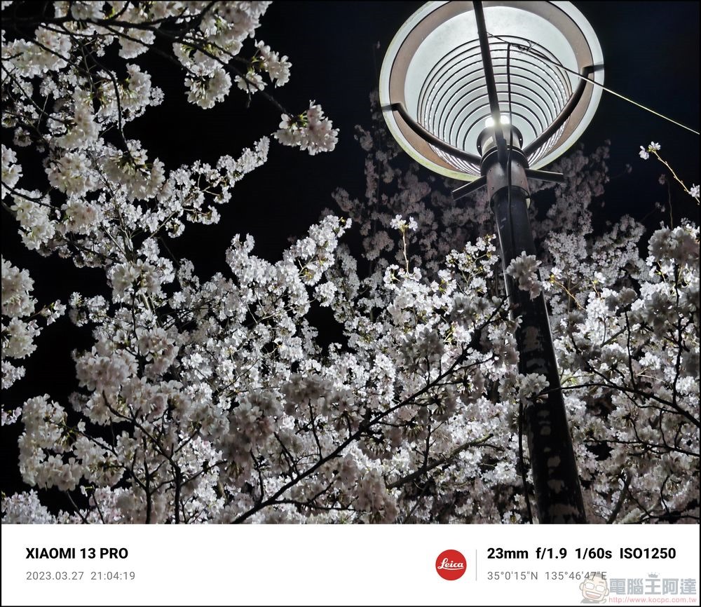 Xiaomi 13 Pro 櫻花拍攝樣張 - 31 Xiaomi 13 Pro 櫻花拍攝樣張 - 31