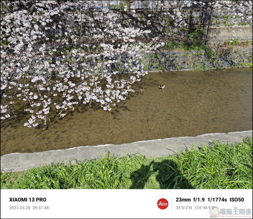 Xiaomi 13 Pro 櫻花拍攝樣張 - 73 Xiaomi 13 Pro 櫻花拍攝樣張 - 73