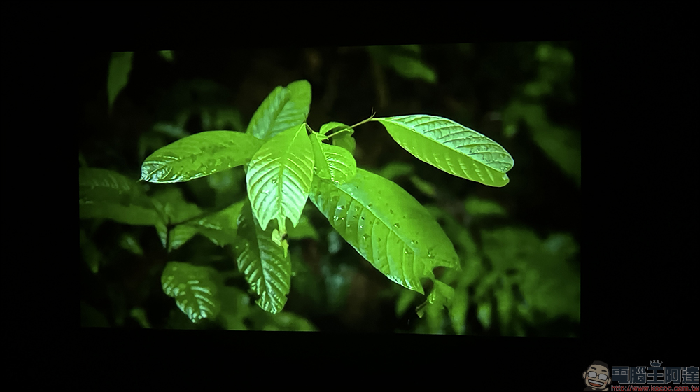 萬播 Wanbo 智慧投影機 T4 開箱|AI 自動對焦、AI 自動校正, 1080p 解析度與 4K HDR10+ 解碼、450ANSI 流明高亮度 - 電腦王阿達 萬播 Wanbo 智慧投影機 T4 開箱|AI 自動對焦、AI 自動校正, 1080p 解析度與 4K HDR10+ 解碼、450ANSI 流明高亮度 - 電腦王阿達