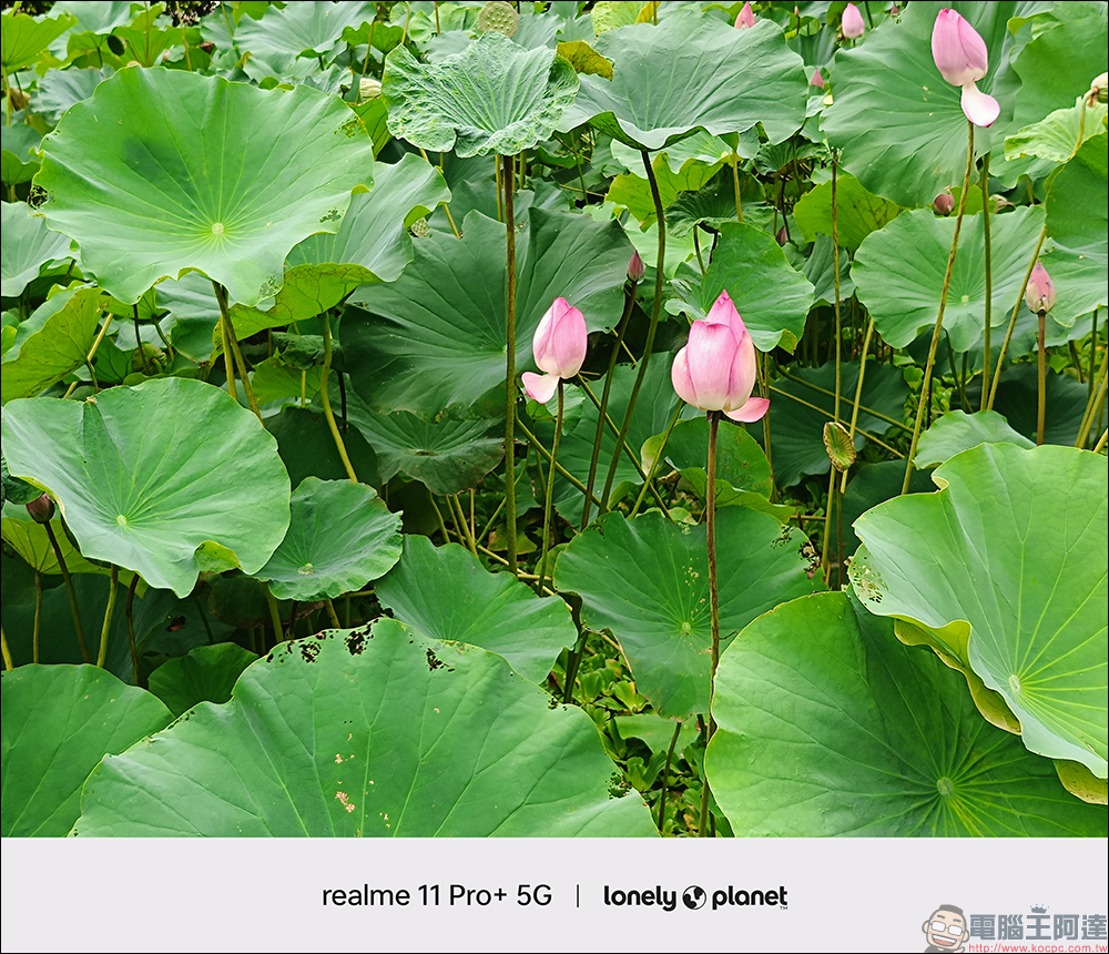realme 11 Pro+ 開箱|2 億畫素單鏡無損變焦相機,手機界的精品 - 電腦王阿達 realme 11 Pro+ 開箱|2 億畫素單鏡無損變焦相機,手機界的精品 - 電腦王阿達