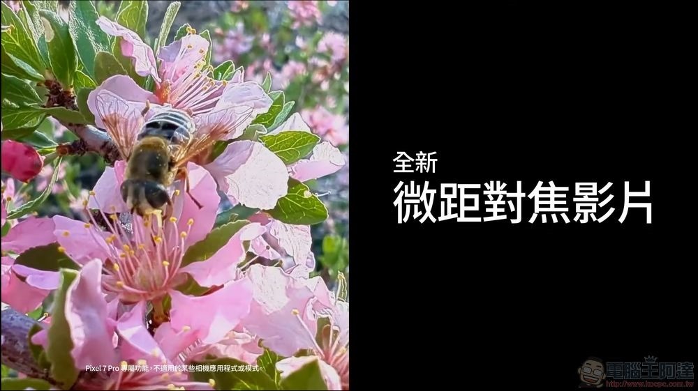 2023 年 6 月 Pixel 功能推送 0-11 screenshot 2023 年 6 月 Pixel 功能推送 0-11 screenshot