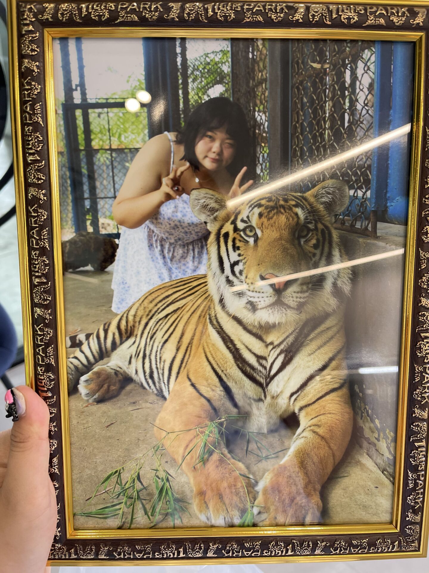 泰國旅行必看旅遊攻略,去泰國玩應該怎麼規劃行程呢?去泰國會花很多錢嗎? - 電腦王阿達 泰國旅行必看旅遊攻略,去泰國玩應該怎麼規劃行程呢?去泰國會花很多錢嗎? - 電腦王阿達
