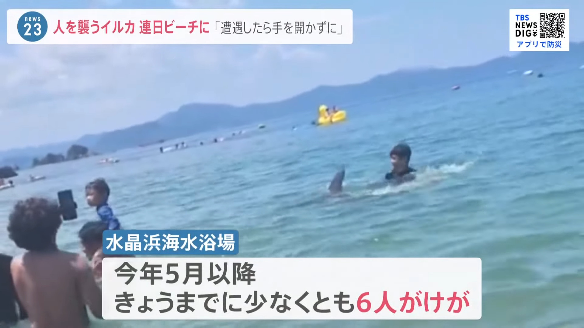 日本海水浴場發生六件野生海豚襲擊人類的事件?原因可能是貪玩或太熱情? - 電腦王阿達 日本海水浴場發生六件野生海豚襲擊人類的事件?原因可能是貪玩或太熱情? - 電腦王阿達