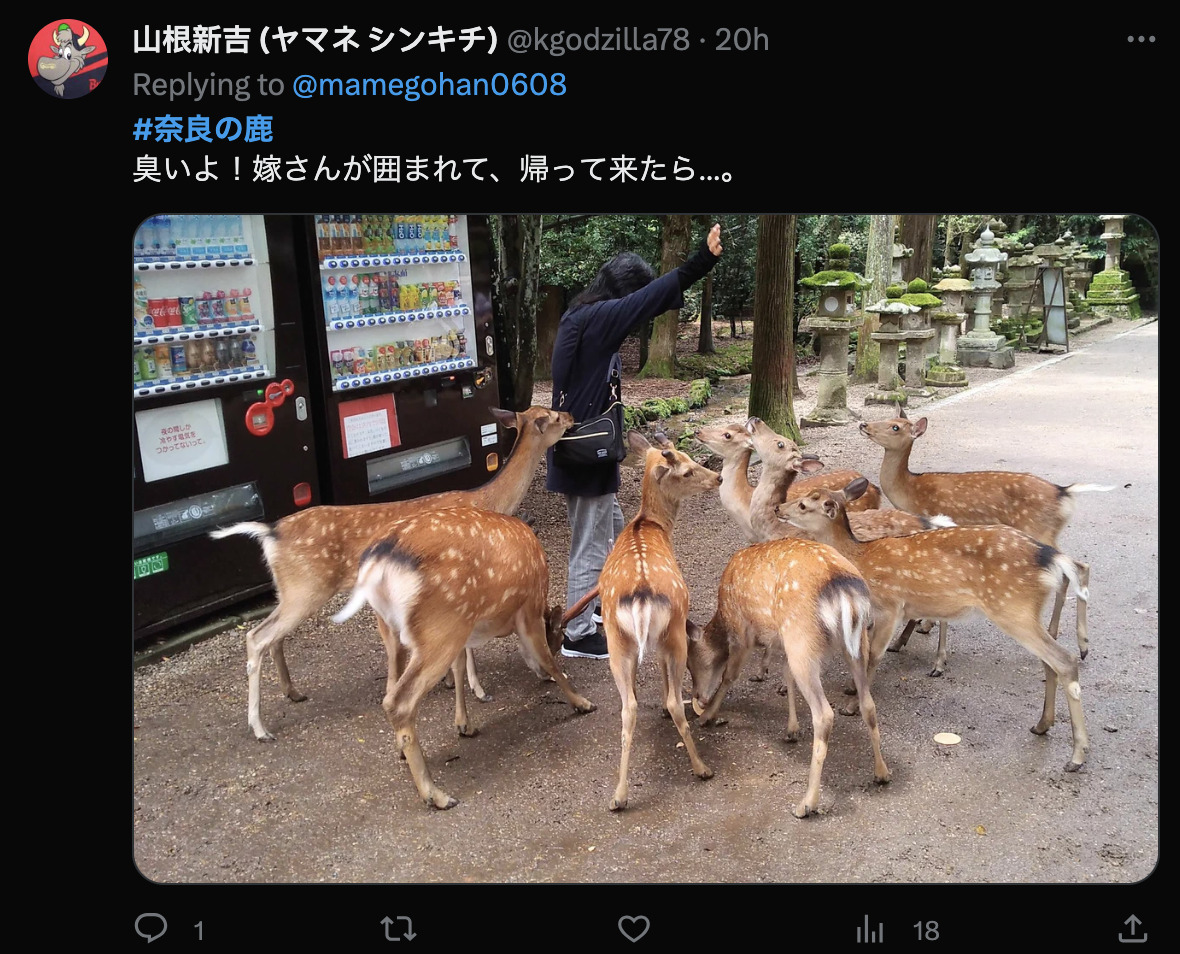 近期日本雨季頻發奈良的鹿躲雨可愛模樣引起討論！ - 電腦王阿達