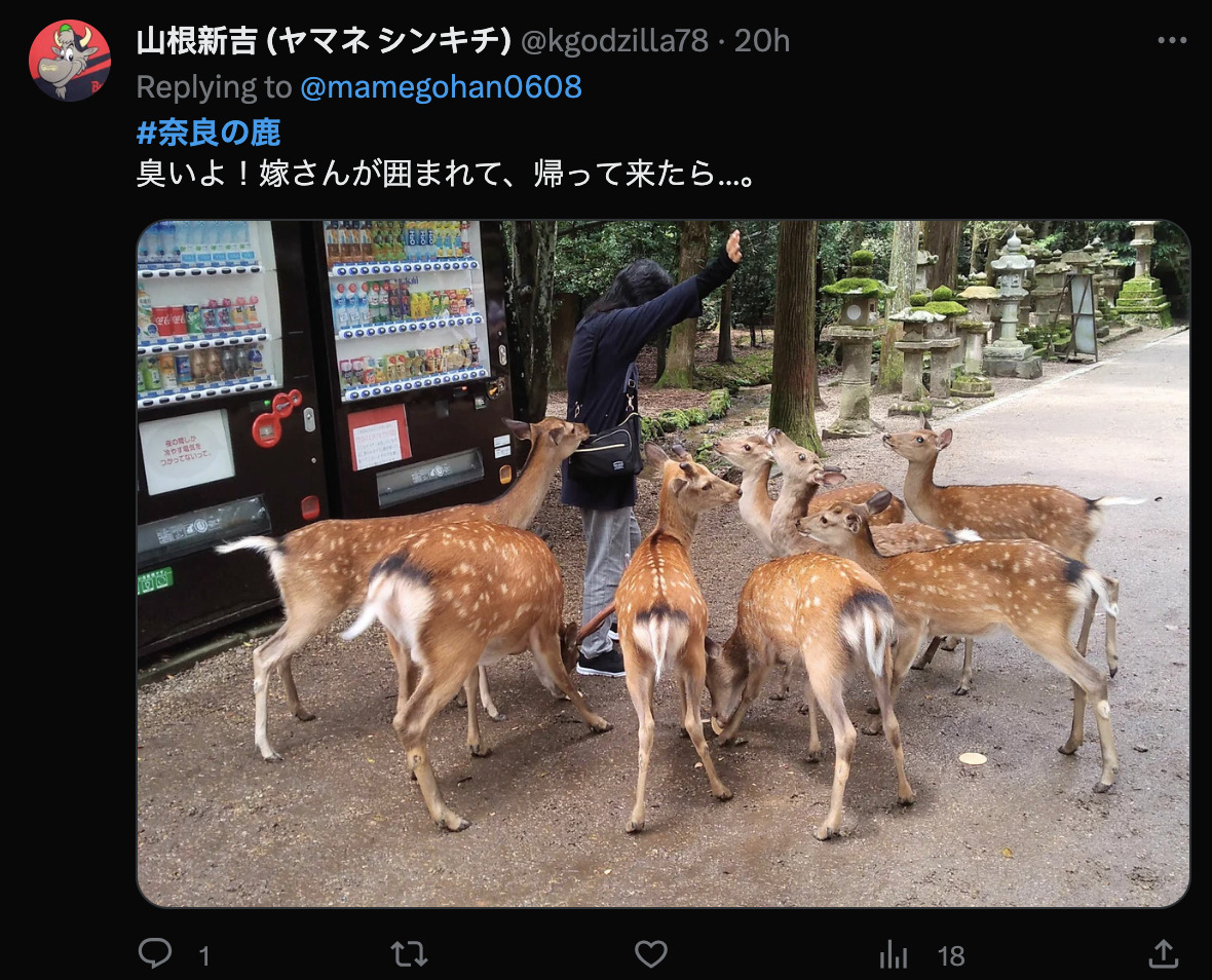 近期日本雨季頻發奈良的鹿躲雨可愛模樣引起討論! - 電腦王阿達 近期日本雨季頻發奈良的鹿躲雨可愛模樣引起討論! - 電腦王阿達