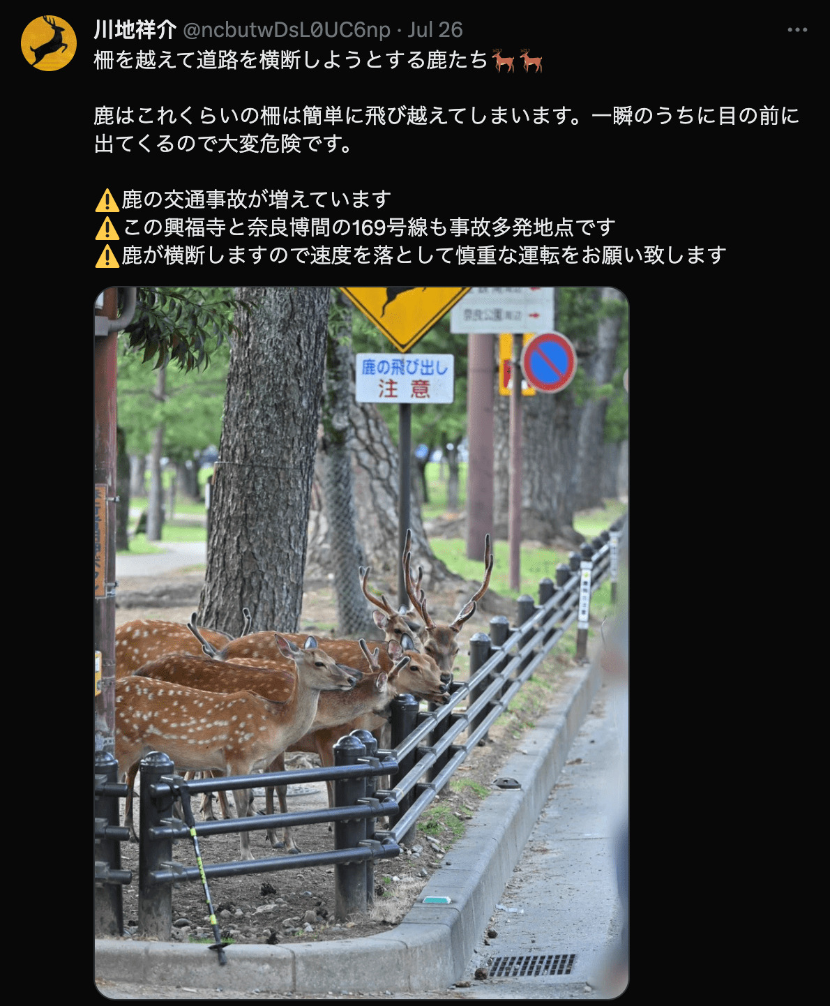 近期日本雨季頻發奈良的鹿躲雨可愛模樣引起討論! - 電腦王阿達 近期日本雨季頻發奈良的鹿躲雨可愛模樣引起討論! - 電腦王阿達