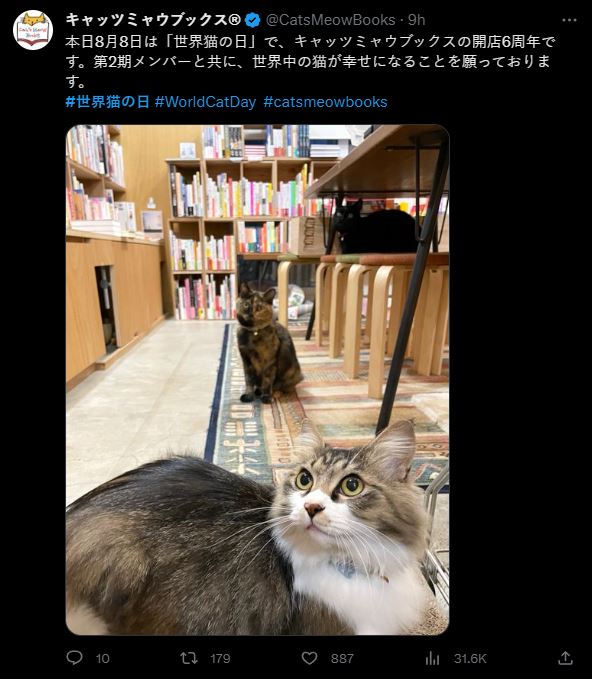 一年一度的8/8國際貓咪日,快來看看大家可愛的祝福 - 電腦王阿達 一年一度的8/8國際貓咪日,快來看看大家可愛的祝福 - 電腦王阿達