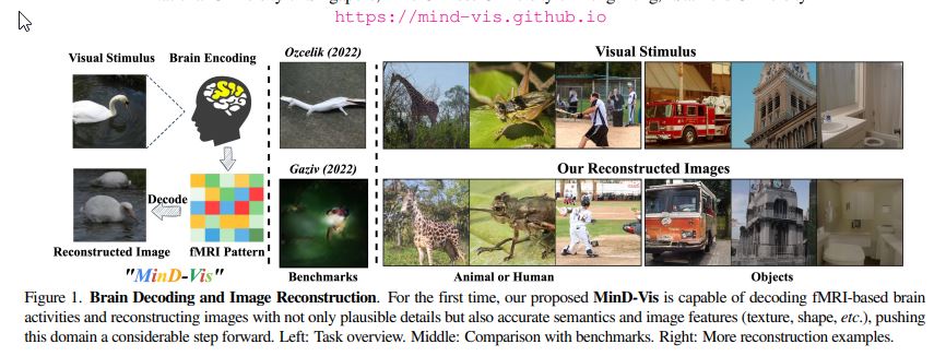 讀心術成真?「MinD-Vis」 AI 系統已可讀取人類所見畫面並以圖片呈現 - 電腦王阿達 讀心術成真?「MinD-Vis」 AI 系統已可讀取人類所見畫面並以圖片呈現 - 電腦王阿達