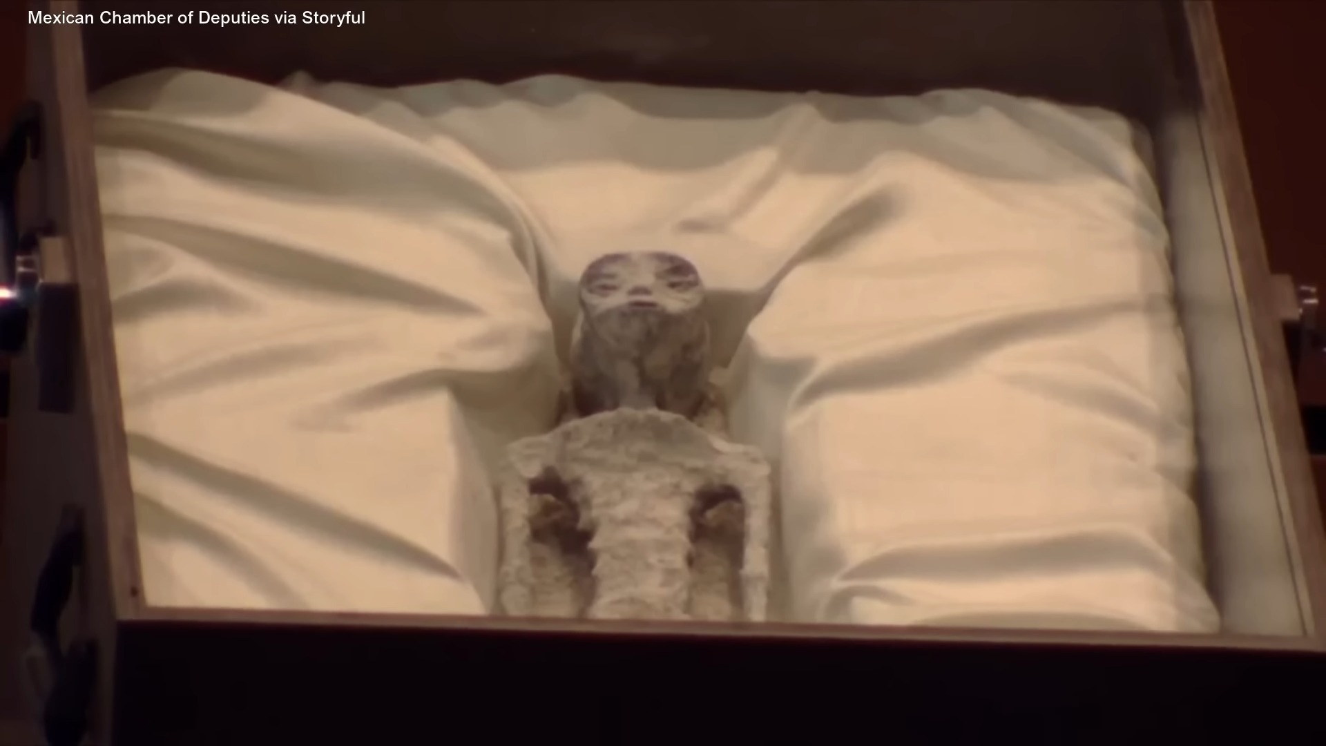 墨西哥國會聽證會展示外星人屍體，但假造可能性似乎很高 - 電腦王阿達