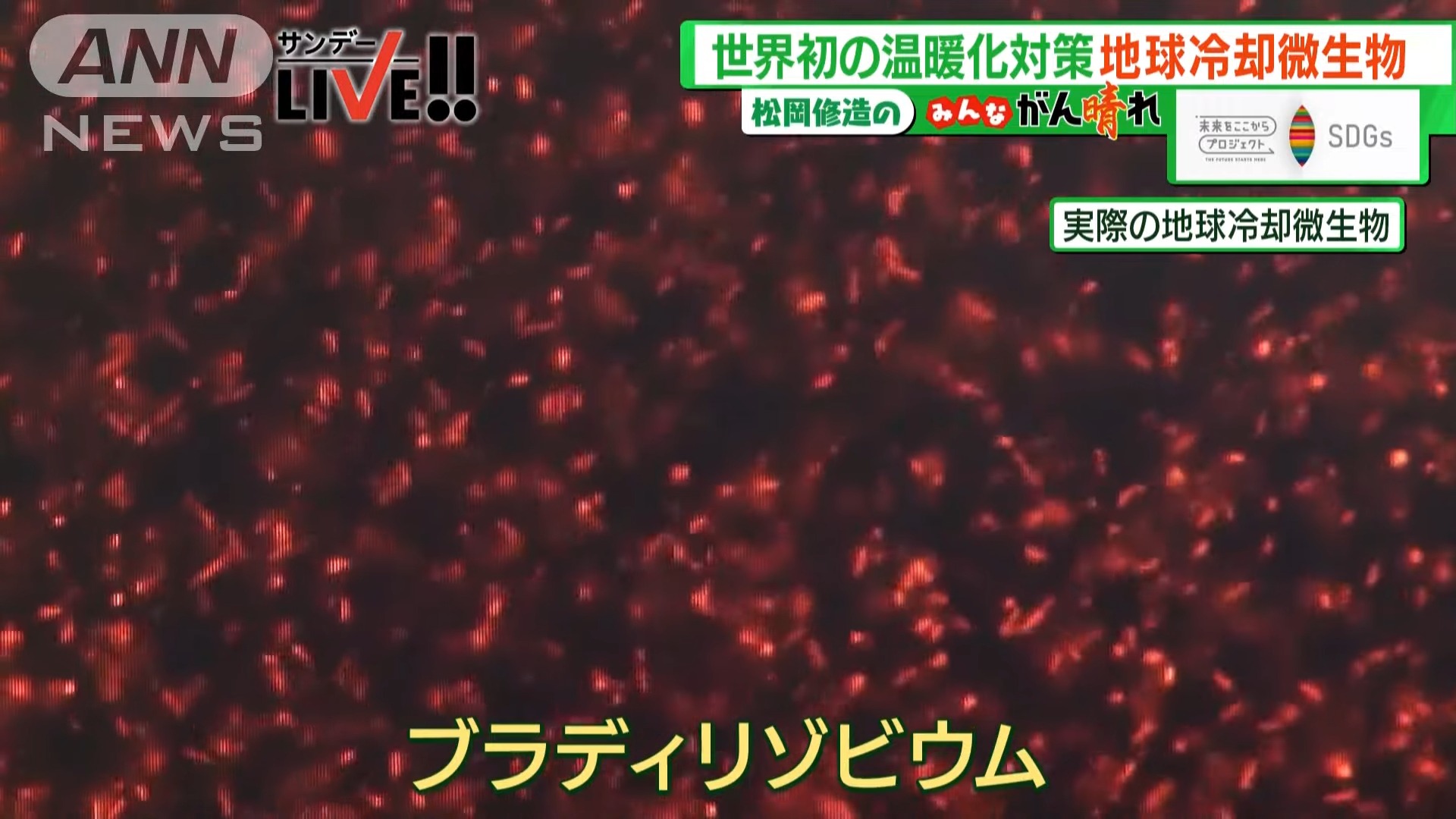 全球暖化不只二氧化碳!日本發現「地球冷卻微生物」幫助減少一氧化二氮排放 - 電腦王阿達 全球暖化不只二氧化碳!日本發現「地球冷卻微生物」幫助減少一氧化二氮排放 - 電腦王阿達