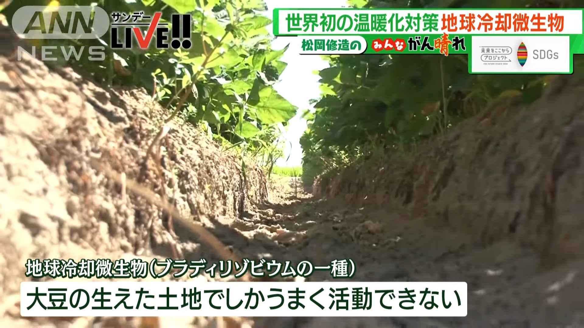 全球暖化不只二氧化碳!日本發現「地球冷卻微生物」幫助減少一氧化二氮排放 - 電腦王阿達 全球暖化不只二氧化碳!日本發現「地球冷卻微生物」幫助減少一氧化二氮排放 - 電腦王阿達