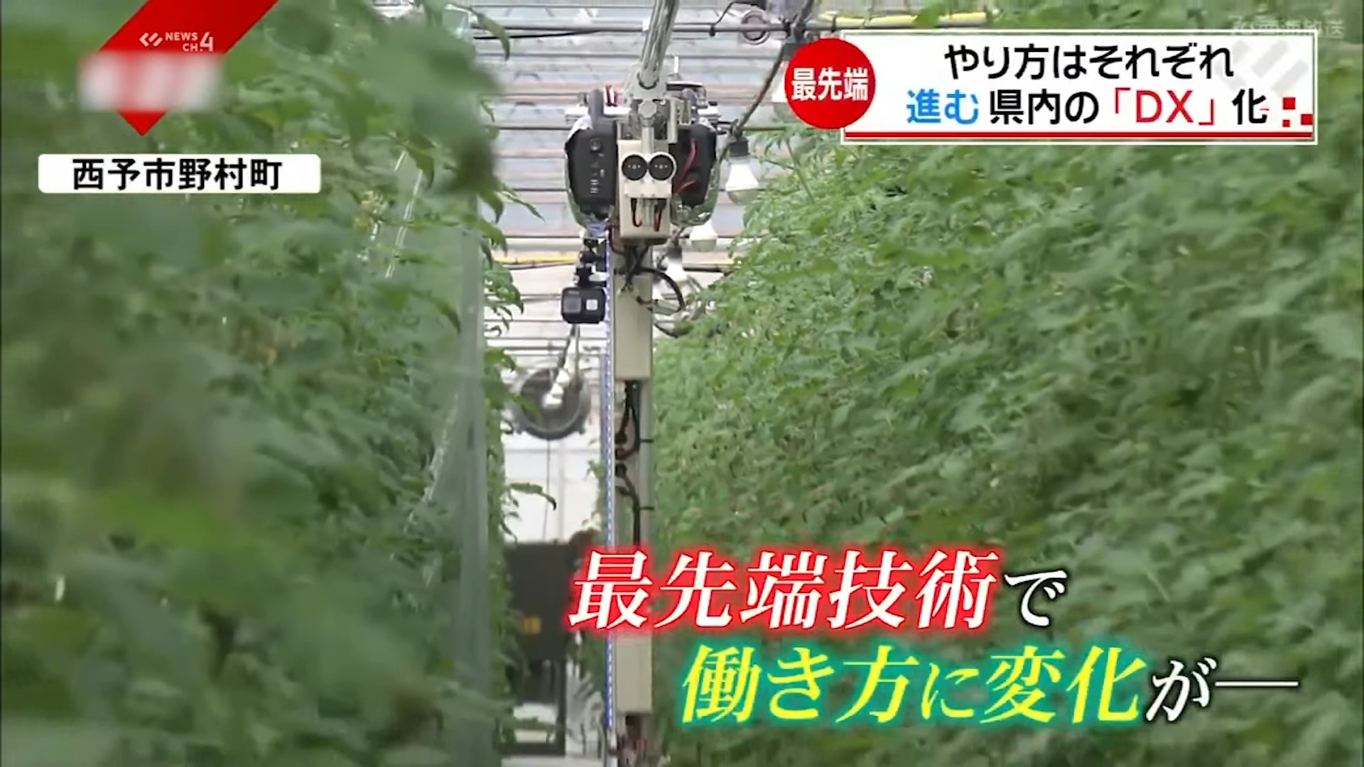 從柑橘農場到建築現場:AI如何改變日本產業型態 - 電腦王阿達 從柑橘農場到建築現場:AI如何改變日本產業型態 - 電腦王阿達