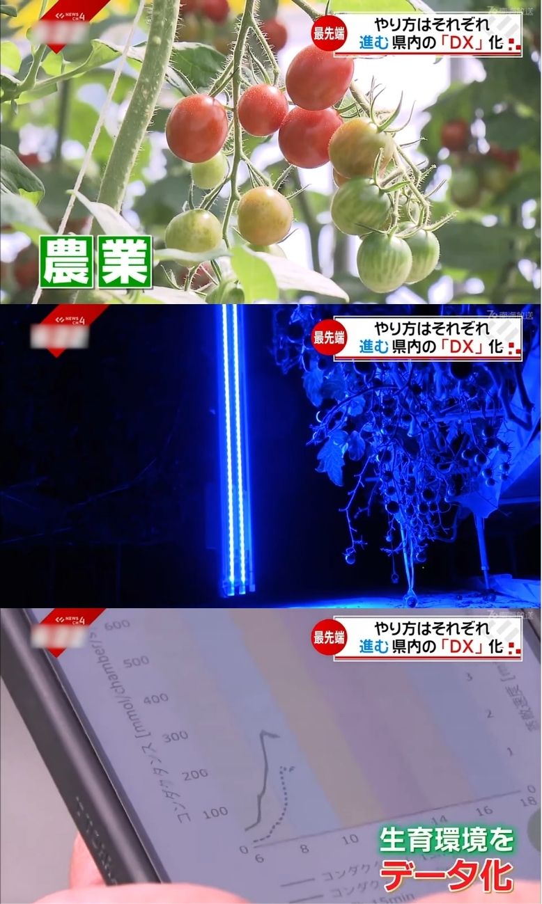 從柑橘農場到建築現場:AI如何改變日本產業型態 - 電腦王阿達 從柑橘農場到建築現場:AI如何改變日本產業型態 - 電腦王阿達