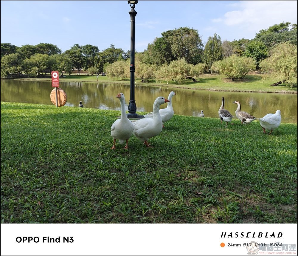 OPPO Find N3 拍攝樣張 - 17 OPPO Find N3 拍攝樣張 - 17