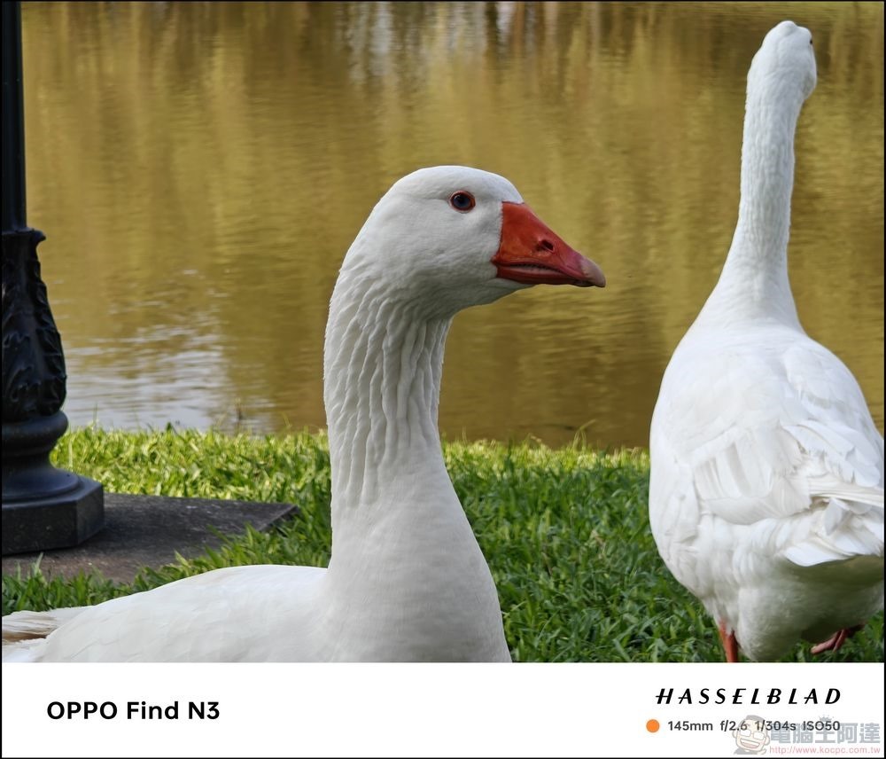 OPPO Find N3 拍攝樣張 - 18 OPPO Find N3 拍攝樣張 - 18