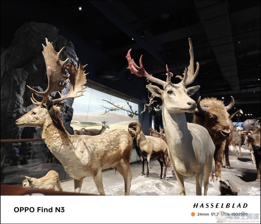 OPPO Find N3 拍攝樣張 - 21 OPPO Find N3 拍攝樣張 - 21