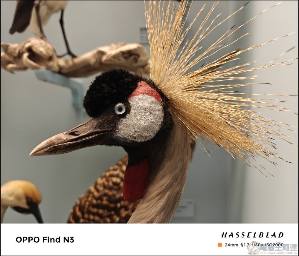 OPPO Find N3 拍攝樣張 - 26 OPPO Find N3 拍攝樣張 - 26