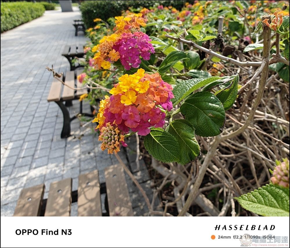 OPPO Find N3 拍攝樣張 - 31 OPPO Find N3 拍攝樣張 - 31