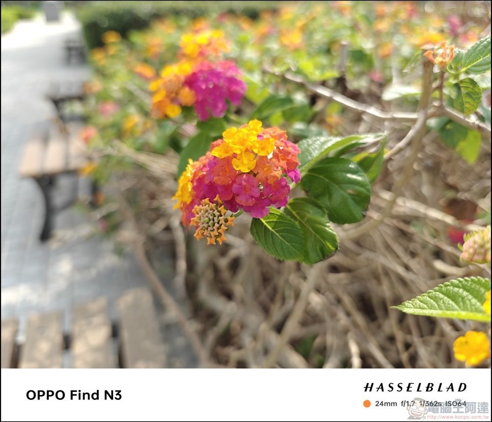 OPPO Find N3 拍攝樣張 - 30 OPPO Find N3 拍攝樣張 - 30