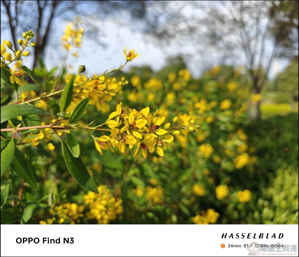 OPPO Find N3 拍攝樣張 - 32 OPPO Find N3 拍攝樣張 - 32
