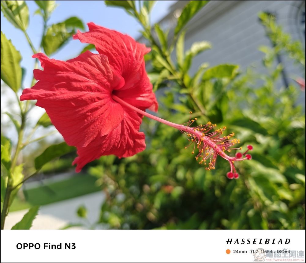 OPPO Find N3 拍攝樣張 - 34 OPPO Find N3 拍攝樣張 - 34