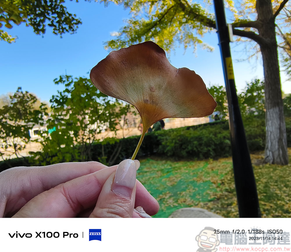 vivo X100 Pro 攝影技術細細看與實拍:變焦、人像、錄影、夜景 - 電腦王阿達 vivo X100 Pro 攝影技術細細看與實拍:變焦、人像、錄影、夜景 - 電腦王阿達