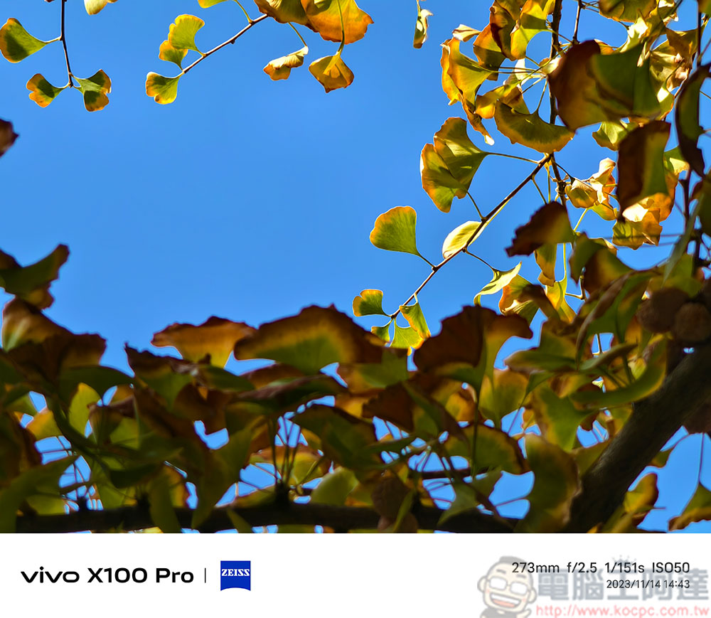 vivo X100 Pro 攝影技術細細看與實拍:變焦、人像、錄影、夜景 - 電腦王阿達 vivo X100 Pro 攝影技術細細看與實拍:變焦、人像、錄影、夜景 - 電腦王阿達