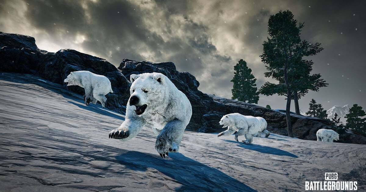 《絕地求生》世界冠軍賽多位選手因 NPC 中立野怪北極熊的攻擊而遭到淘汰 - 電腦王阿達