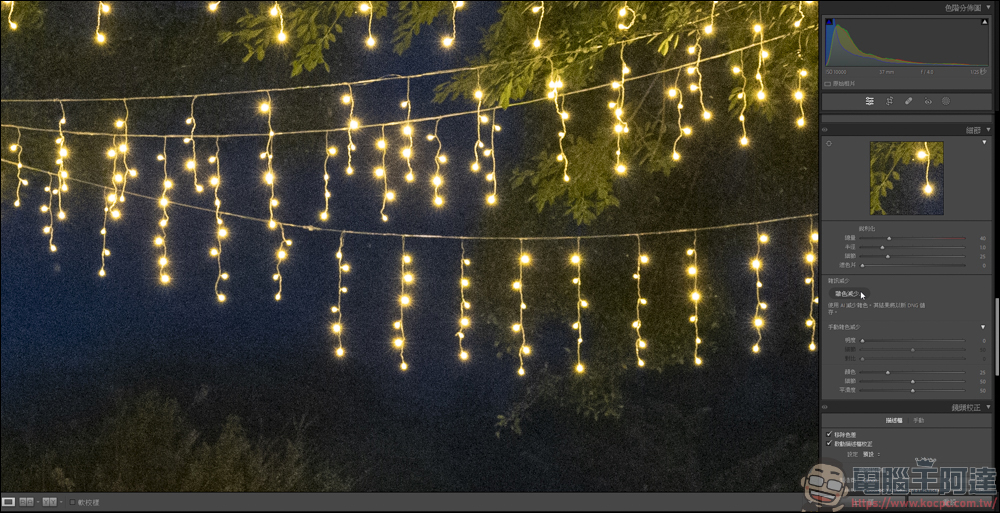 新版的 Lightroom AI 雜色減少功能,一鍵除噪點還能保有大量細節 - 電腦王阿達 新版的 Lightroom AI 雜色減少功能,一鍵除噪點還能保有大量細節 - 電腦王阿達
