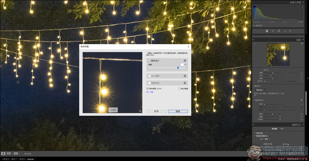 新版的 Lightroom AI 雜色減少功能,一鍵除噪點還能保有大量細節 - 電腦王阿達 新版的 Lightroom AI 雜色減少功能,一鍵除噪點還能保有大量細節 - 電腦王阿達
