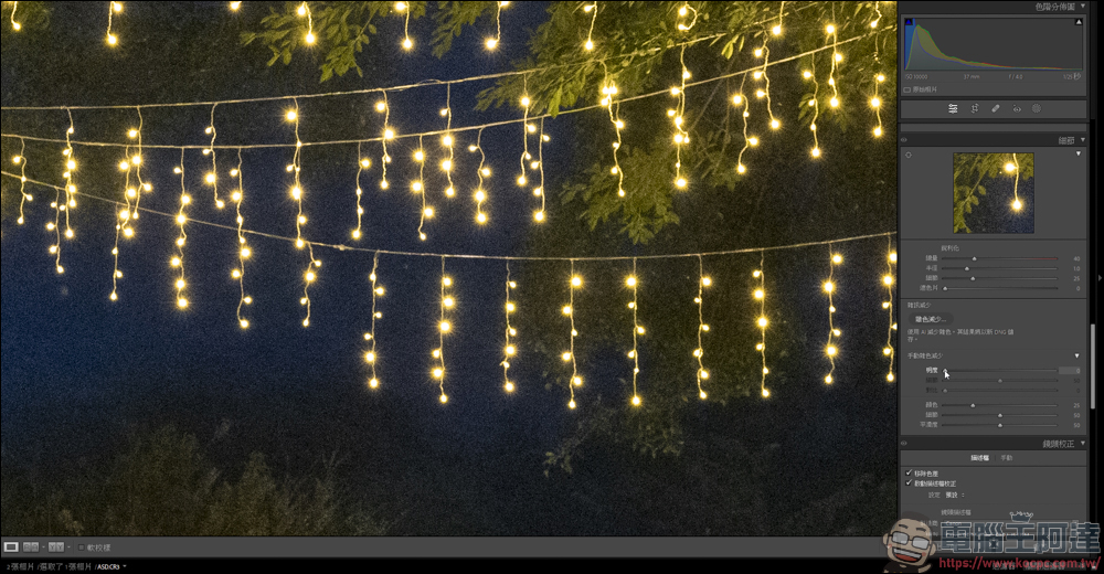 新版的 Lightroom AI 雜色減少功能,一鍵除噪點還能保有大量細節 - 電腦王阿達 新版的 Lightroom AI 雜色減少功能,一鍵除噪點還能保有大量細節 - 電腦王阿達