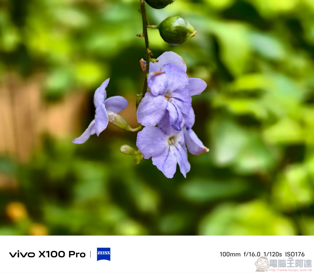 立下手機攝影新標竿!vivo X100 Pro 攝日旗艦全能實測分享 - 電腦王阿達 立下手機攝影新標竿!vivo X100 Pro 攝日旗艦全能實測分享 - 電腦王阿達