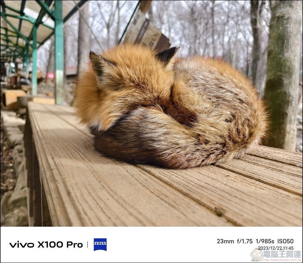 vivo X100 Pro 拍照測試 - 052 vivo X100 Pro 拍照測試 - 052