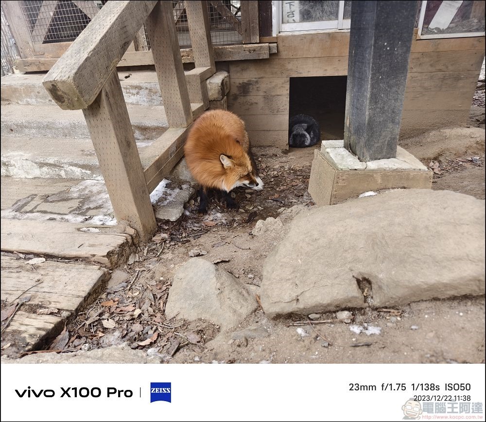vivo X100 Pro 拍照測試 - 053 vivo X100 Pro 拍照測試 - 053