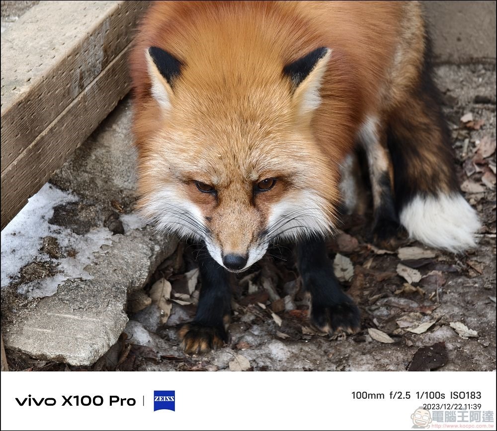 vivo X100 Pro 拍照測試 - 054 vivo X100 Pro 拍照測試 - 054