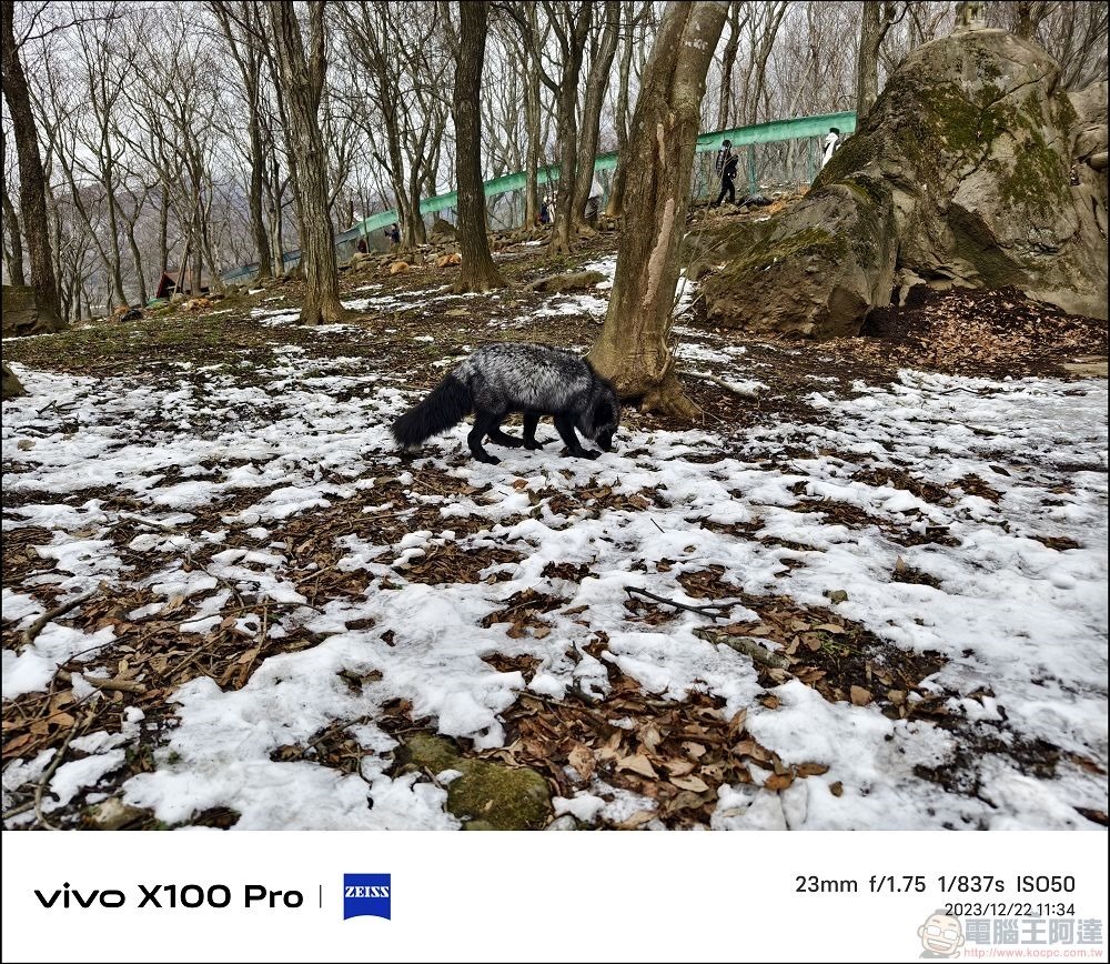 vivo X100 Pro 拍照測試 - 056 vivo X100 Pro 拍照測試 - 056