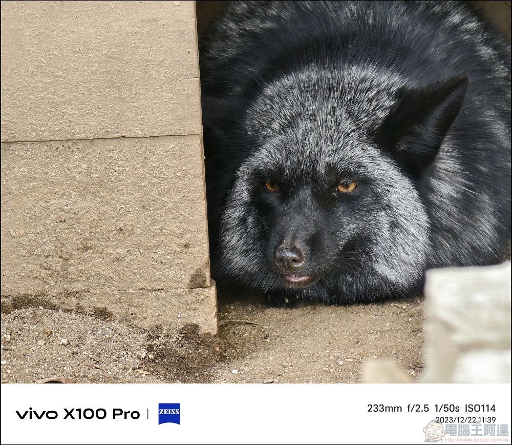 vivo X100 Pro 拍照測試 - 055 vivo X100 Pro 拍照測試 - 055