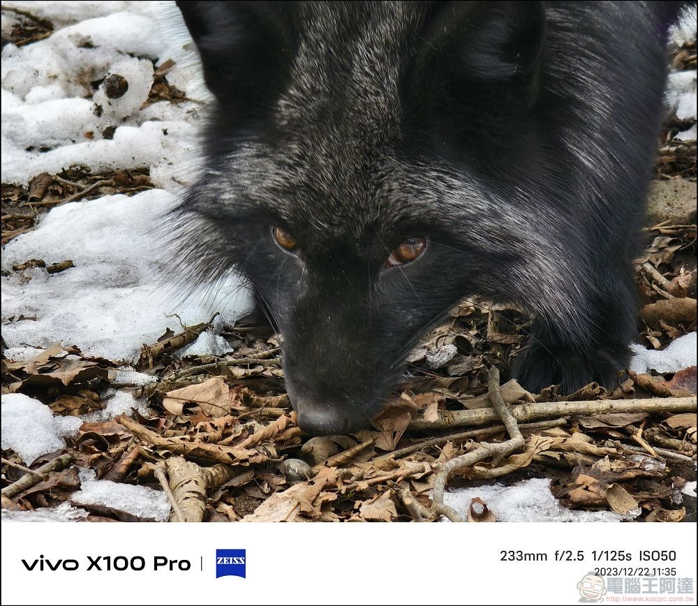 vivo X100 Pro 拍照測試 - 058 vivo X100 Pro 拍照測試 - 058