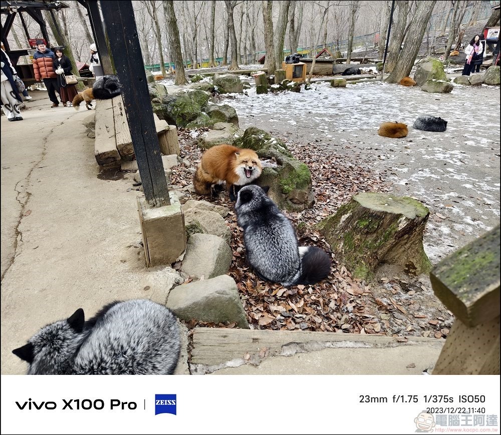 vivo X100 Pro 拍照測試 - 059 vivo X100 Pro 拍照測試 - 059