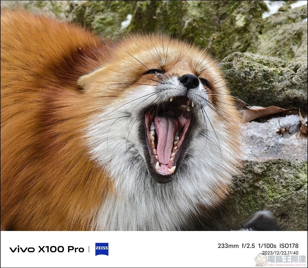 vivo X100 Pro 拍照測試 - 060 vivo X100 Pro 拍照測試 - 060