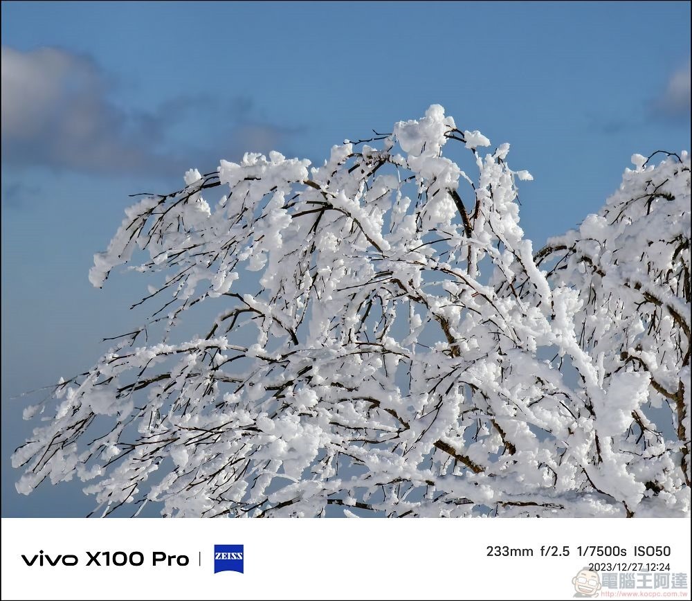vivo X100 Pro 拍照測試 - 067 vivo X100 Pro 拍照測試 - 067