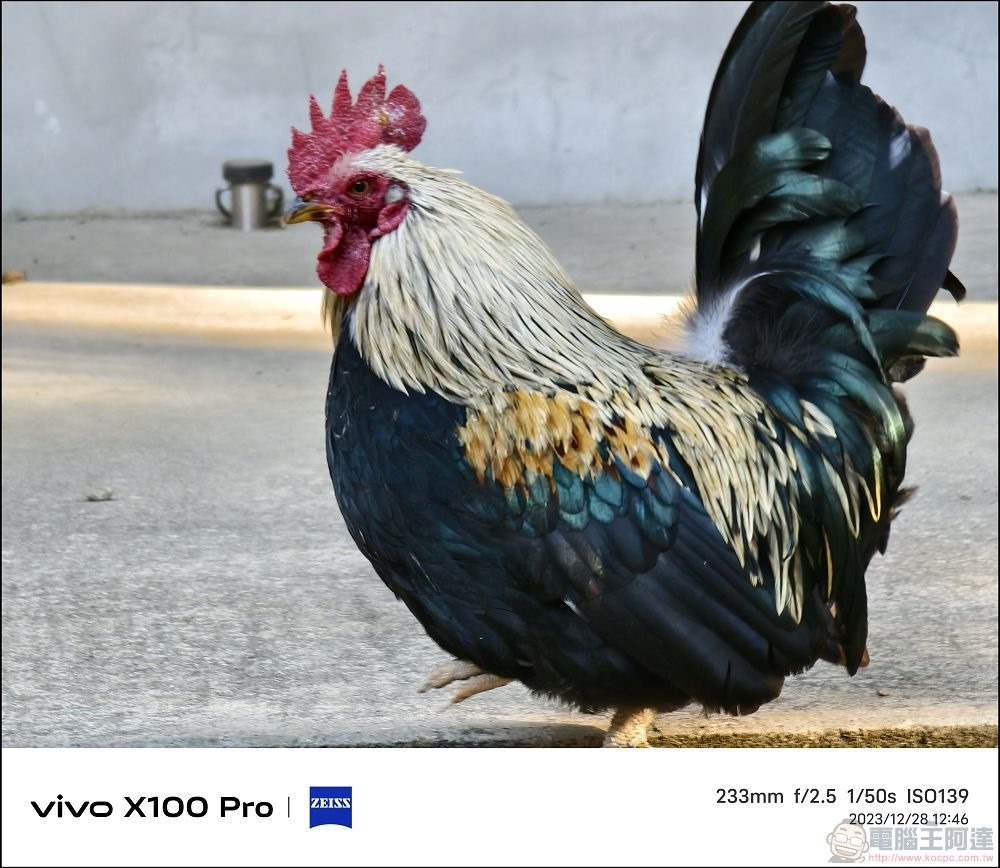 vivo X100 Pro 拍照測試 - 085 vivo X100 Pro 拍照測試 - 085