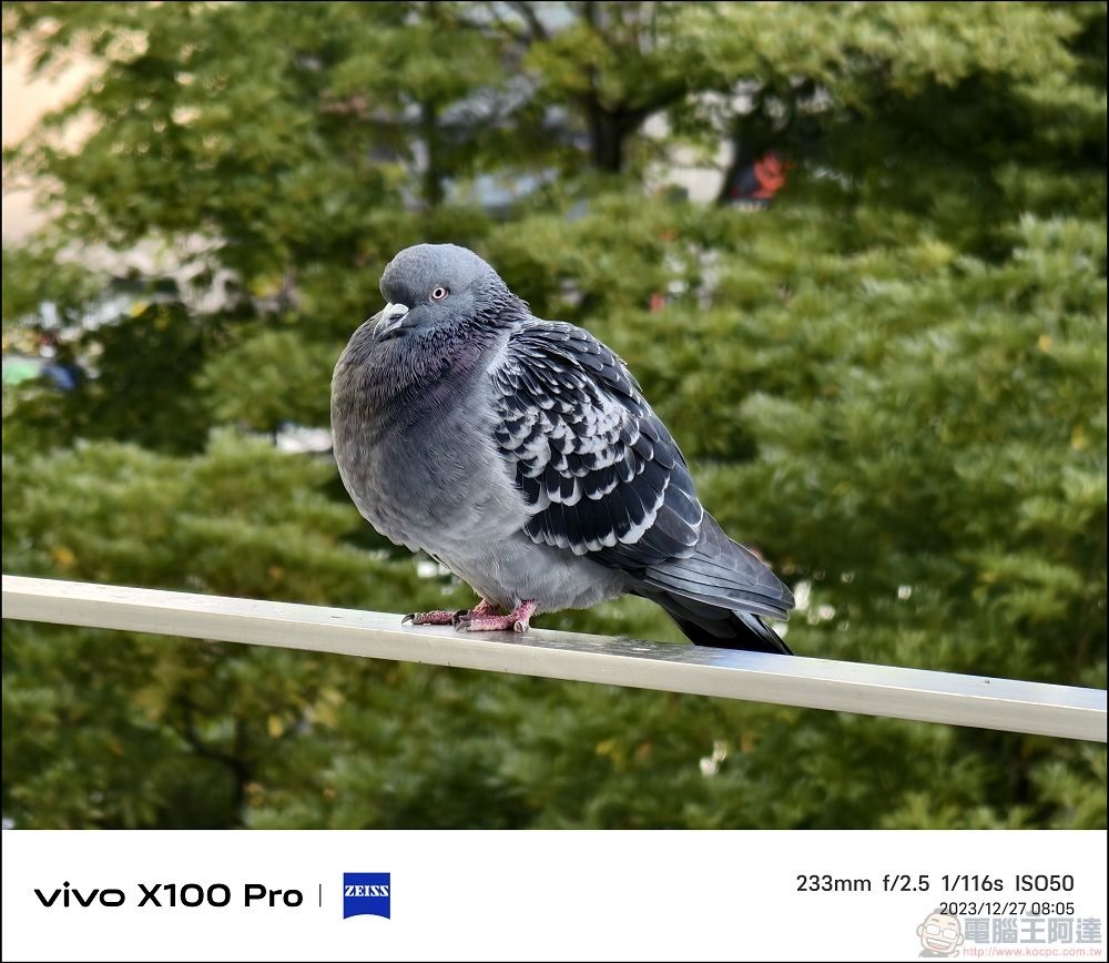 vivo X100 Pro 拍照測試 - 109 vivo X100 Pro 拍照測試 - 109