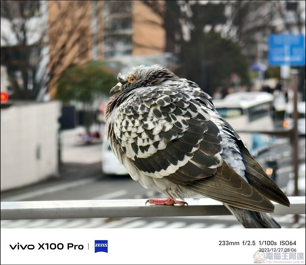 vivo X100 Pro 拍照測試 - 111 vivo X100 Pro 拍照測試 - 111
