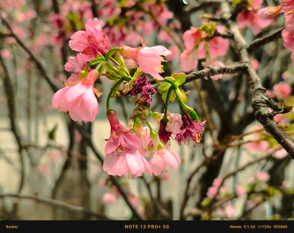 Redmi Note 13 Pro+ 5G 與 Note 13 Pro 5G 開箱!2 億畫素全能小金剛出擊,拍照、效能、續航都到位 - 電腦王阿達 Redmi Note 13 Pro+ 5G 與 Note 13 Pro 5G 開箱!2 億畫素全能小金剛出擊,拍照、效能、續航都到位 - 電腦王阿達