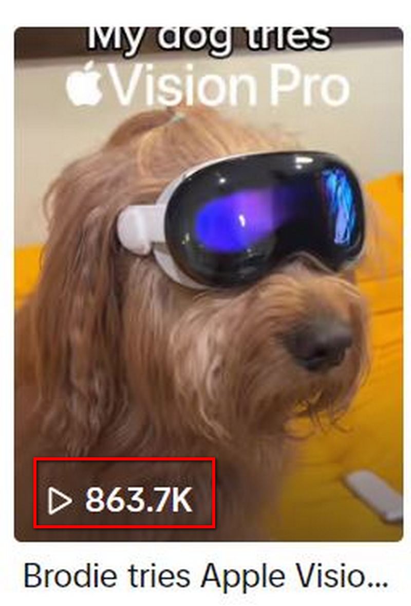 狗狗也能玩 Apple Vision Pro ?國外網友使用 Vision Pro 進行虛擬遛狗 - 電腦王阿達 狗狗也能玩 Apple Vision Pro ?國外網友使用 Vision Pro 進行虛擬遛狗 - 電腦王阿達