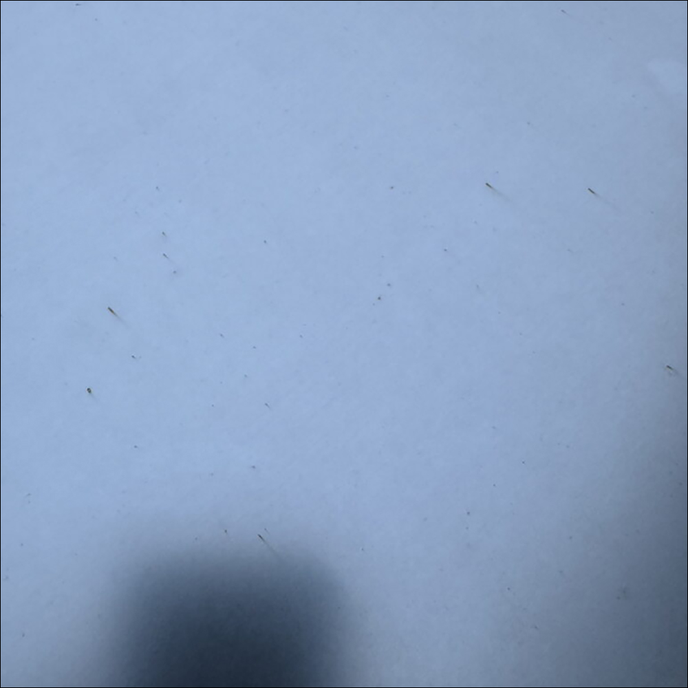 特斯拉 Cybertruck 下雨天開車後,不鏽鋼車身鈑金長出鏽斑 - 電腦王阿達 特斯拉 Cybertruck 下雨天開車後,不鏽鋼車身鈑金長出鏽斑 - 電腦王阿達