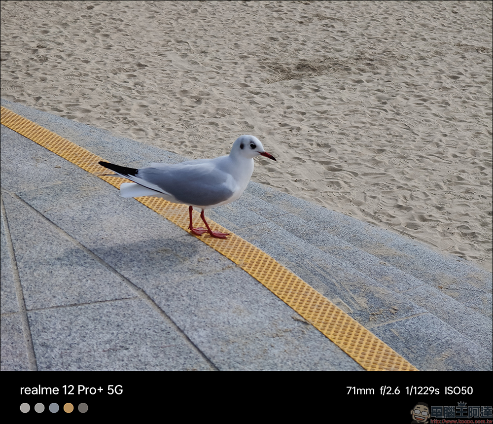 realme 12 Pro+ 開箱、評測|精品大師x電影大師,雙大師聯手打造,同價位首款潛望長焦的電影級人像大師手機 - 電腦王阿達 realme 12 Pro+ 開箱、評測|精品大師x電影大師,雙大師聯手打造,同價位首款潛望長焦的電影級人像大師手機 - 電腦王阿達