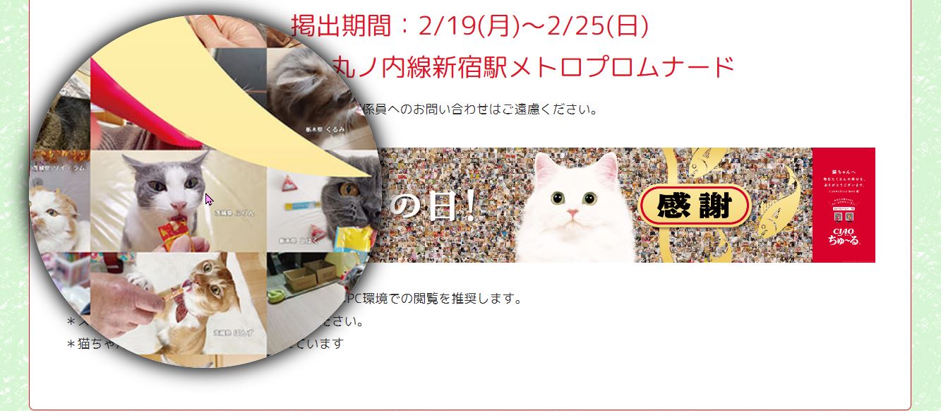 日本貓食品牌為慶祝貓之日在東京新宿站刊登超大海報,暗藏許多小巧思 - 電腦王阿達 日本貓食品牌為慶祝貓之日在東京新宿站刊登超大海報,暗藏許多小巧思 - 電腦王阿達